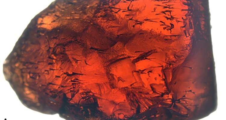 NATsdu's tweet image. These gemstones hold signs of life; hard working microbes bore their way through them. "Life is inventive", says geobiologist Magnus Ivarsson. Time to look for likeminded microbes in space? @PLOSONE #lifeorigin sdu.dk/en/om_sdu/faku…