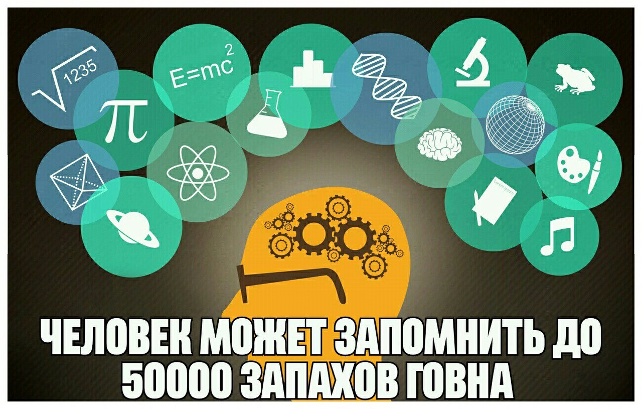 DkOcuURW4AAuEWD?format=jpg&name=large