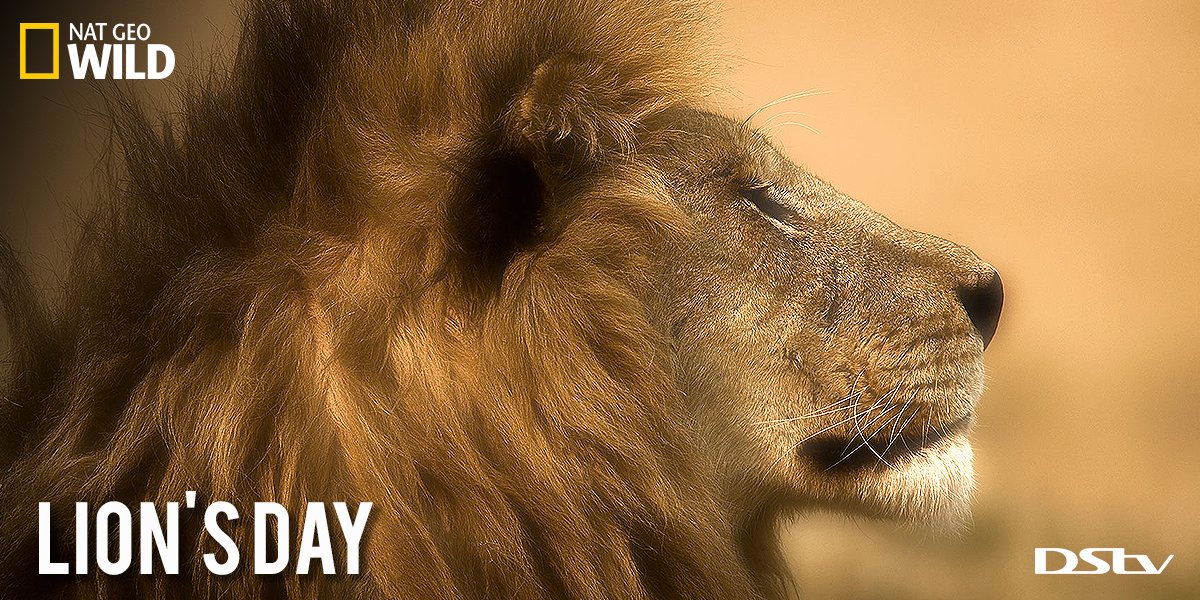 Nat geo wild. Нат гео вайлд. Nat geo wild телеканал. Нат гео вайлд 2014. Гео вайлд.