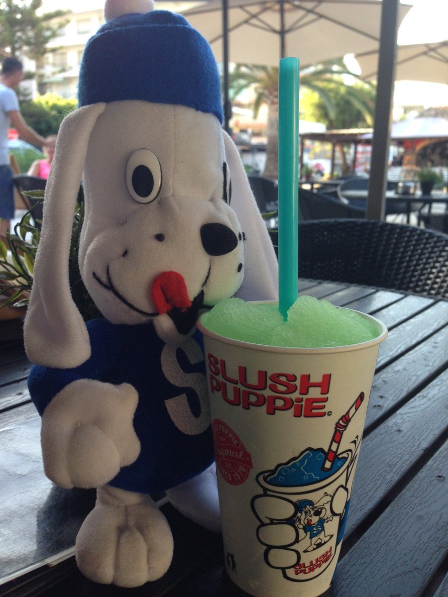 soloslushspain's tweet photo. Puppie cooling off with his Lemon/Lime Slush Puppie drink. Drink Cool https://t.co/IXWk67DbdY
