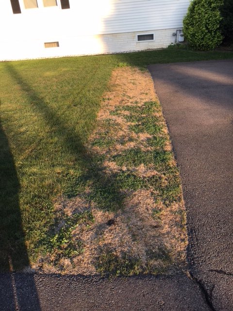 John Kaminski, Ph.D. tweet media