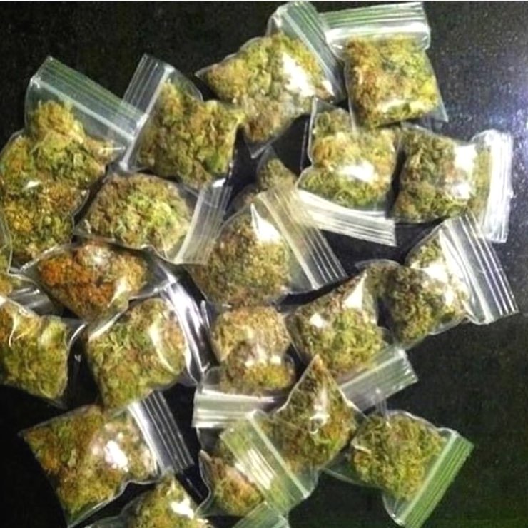 AndyBills10's tweet photo. Quality weed https://t.co/xi2wVRZzrK