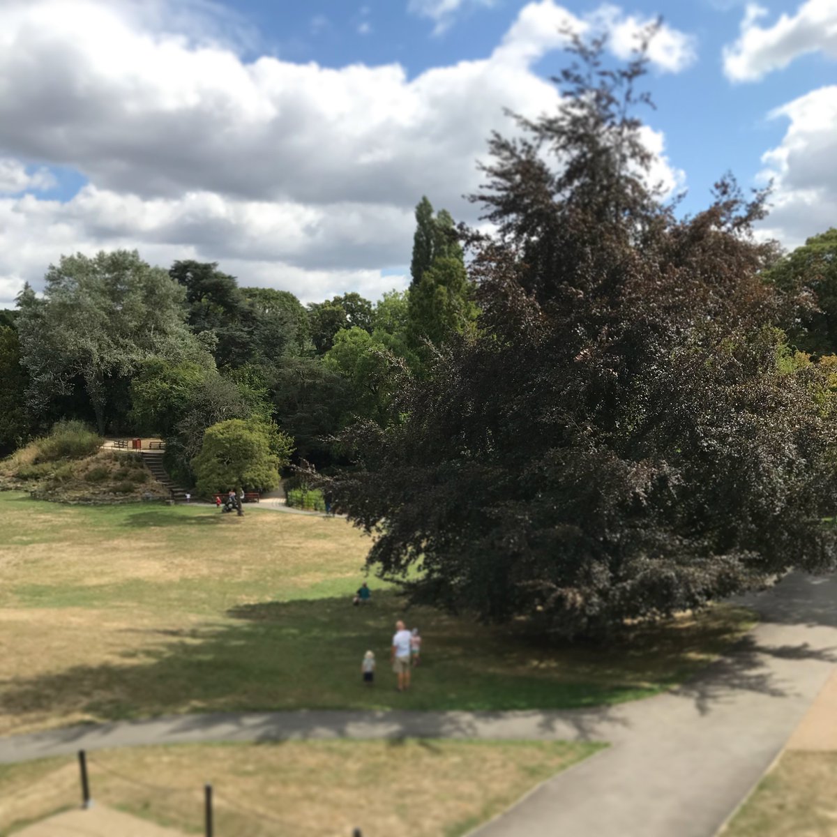 The gardens definitely benefited from the rain 🌧️ yesterday! It is lovely to see all the different shades of green at this time of year.... 🌳🌿💚 #historicgarden #finchley #summertime