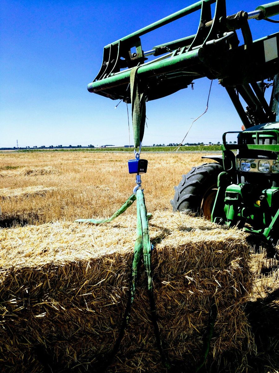Ekopolis's tweet photo. Bottelage de la paille du futur centre de loisirs en paille porteuse Felix Eboué, avec des essais de liens en sisal ! Du retour d'expérience pour une prochaine #commissionBdf !
#biosource #démarcheBDF #Rex https://t.co/HKSZ4pliKe