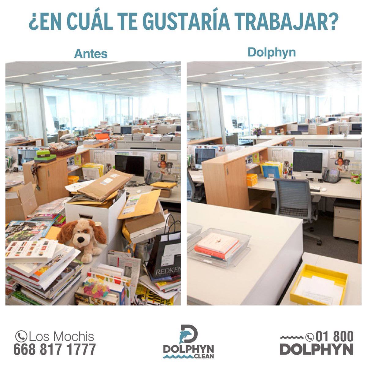 dolphynclean's tweet photo. ¡Estudios demuestran que los lugares limpios y ordenados incrementan la productividad al momento de trabajar ¡Tú decides cual quieres que sea tu lugar de trabajo! 💻📚     #dolphyn #clean #negocios #limpieza #hogar https://t.co/Ruqt7toWIr