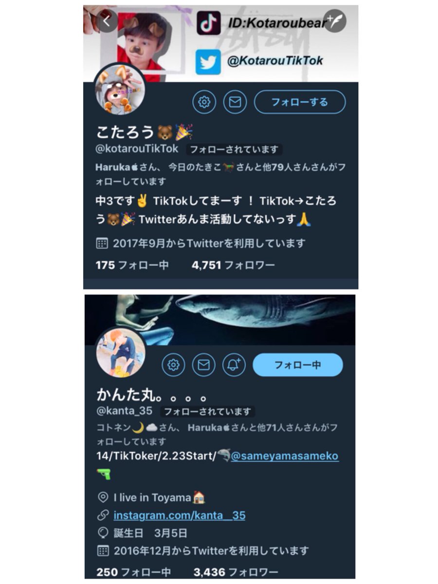 Kuritaro2's tweet photo. 自分をフォローしてくれてる
TikTokerさんを整理してみたら
豪華すぎた…ありがとうございます😭

@kitamuracrea 
@jZrx382YMl972dD 
@kg_1128 
@Seiya_TikTok 
@kotarouTikTok 
@kanta_35 
@cross_rack0407 
@Mixchan35401203 
@yumi61109265 
@Tucky_channel https://t.co/AMEx5zY4Ii