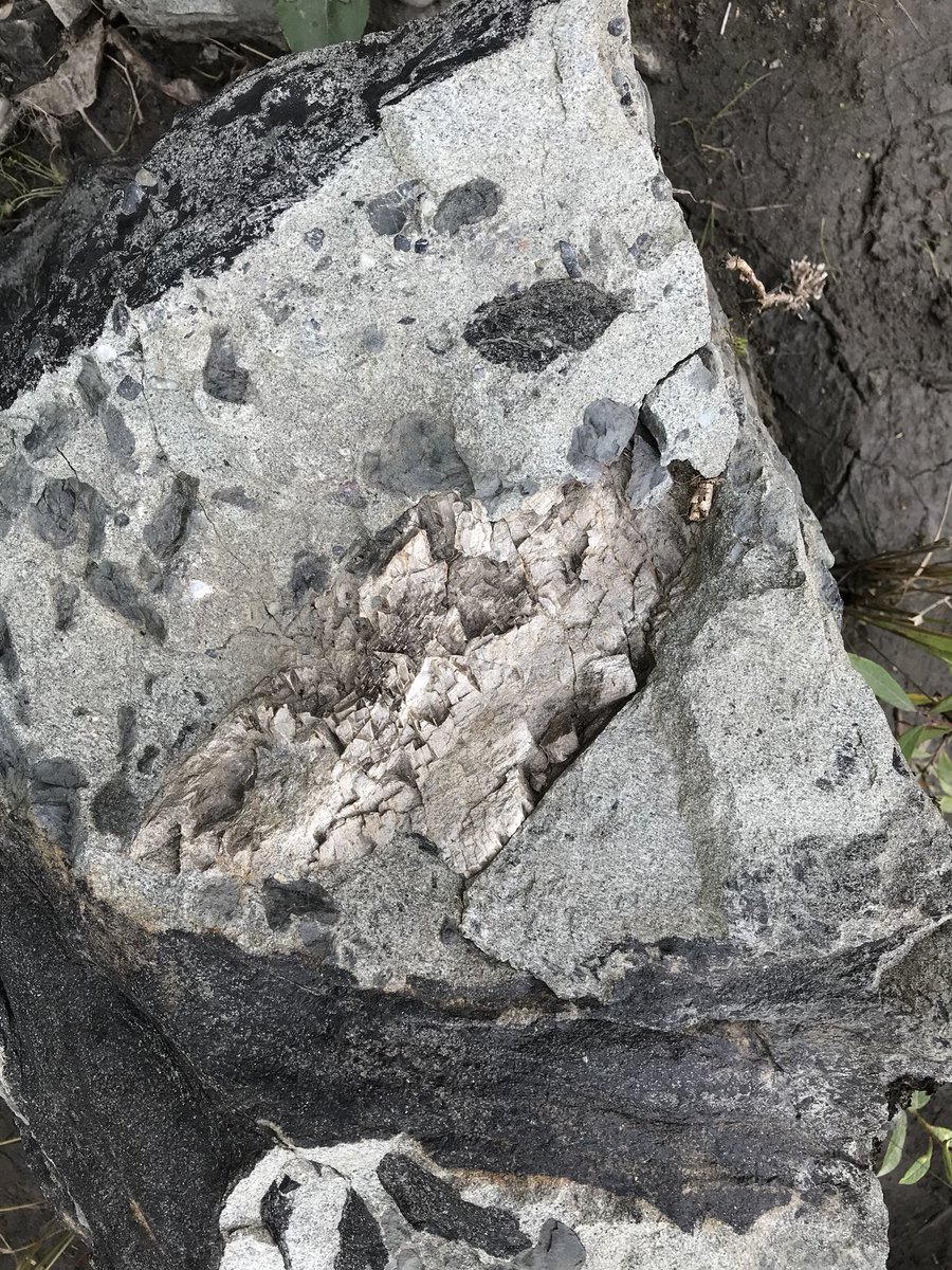 AaronVDReest's tweet photo. Been scouting out new areas for the past few days for #MADP. Found new ash and more hadrosaur bone yesterday. Found a partial hadrosaur skeleton three days ago in my current Brazeau location! #fieldwork2018 #dinodigs #BrazeauFormation #WapiabiFormation https://t.co/FSQhHCYx5a
