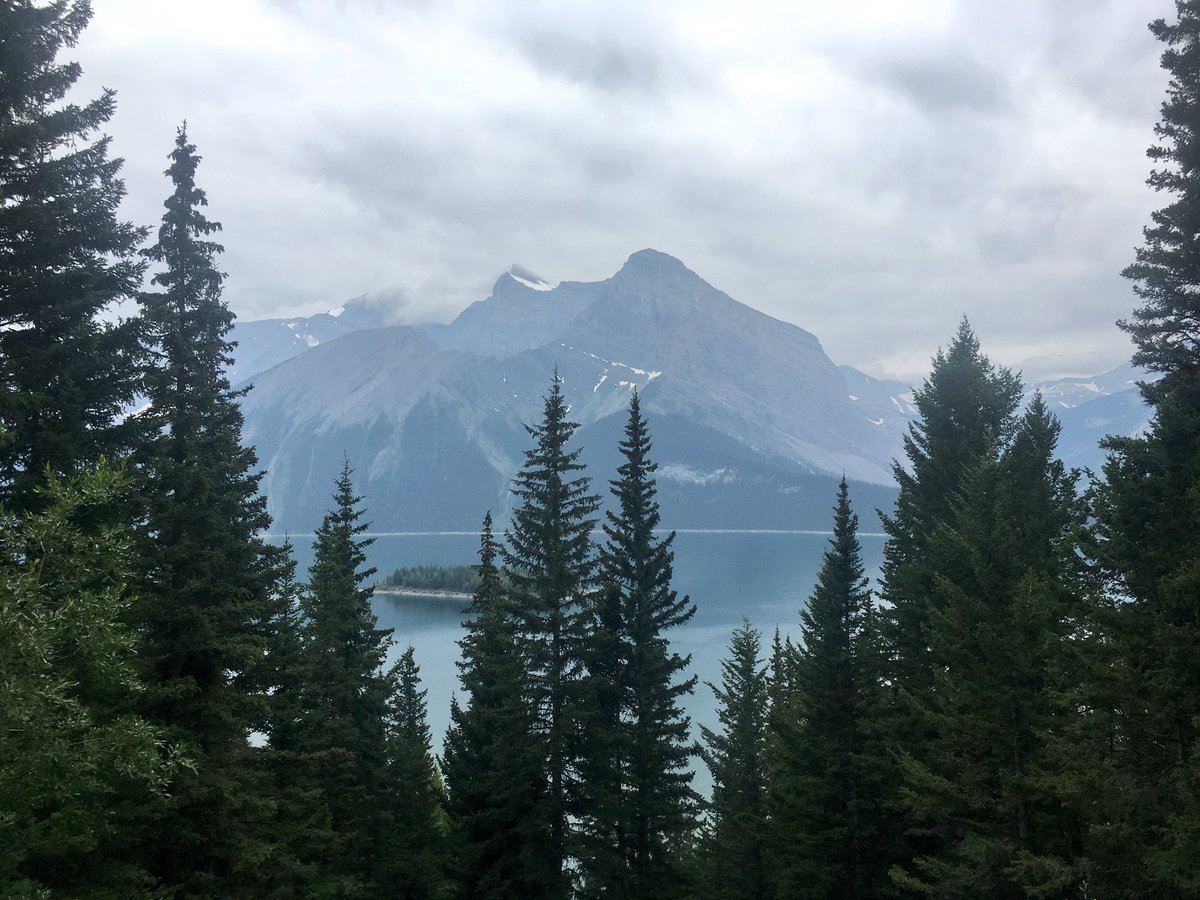 Through the trees
#ForestFriday
