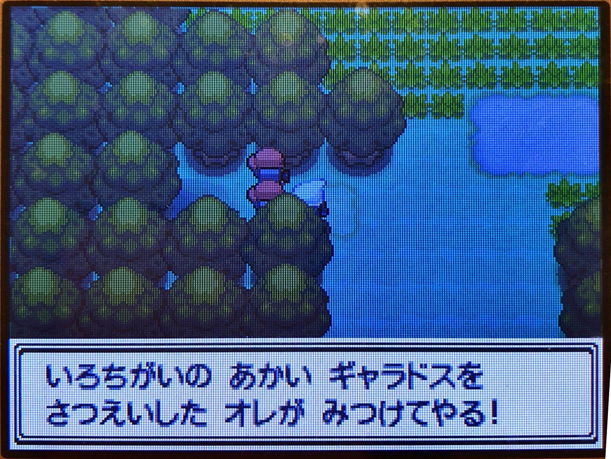 スラヨシ アンテ ポケダン空ネタバレしないでね ここにも伝説のポケモンが この人はいかりの湖で赤いギャラドスを撮った T Co Elmyvdunzj Twitter
