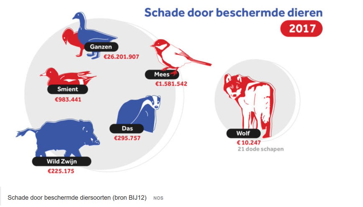 BIJ12nl's tweet photo. Cijfers. Vorig jaar veroorzaakte de #wolf voor ongeveer 10.000 euro schade. Het dier haalt daarmee lang de top-5 (1 ganzen, 2 mees, 3 smient, 4 das, 5 wild zwijn) niet. Zie afbeelding. https://t.co/csTx6x113d