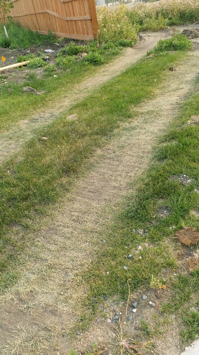 Dot_Singh's tweet photo. @cityofwinnipeg Good morning, Someone Try to destroy grass in front of my house, what can i do or complaint? https://t.co/VBslHsb9DI