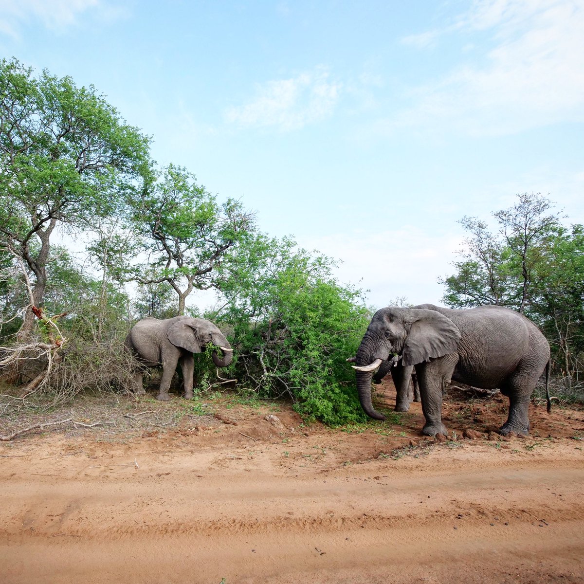 MichaelTopham's tweet photo. Loved every minute and a trip I’ll remember forever and treasure for life! @PanasonicUKPR @VisitSA_UK https://t.co/85UxWwrNev