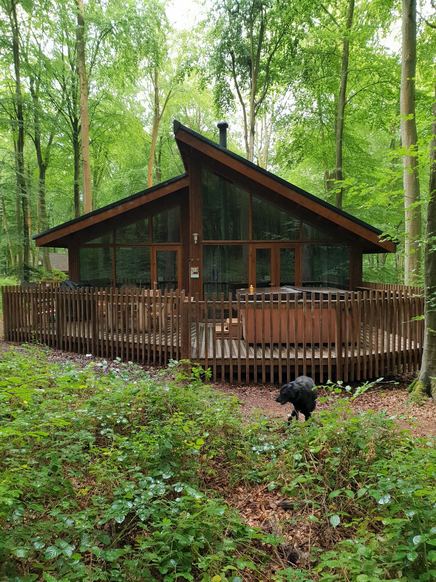 Home for the next few days. Forest retreat in Hampshire #peaceandquiet #hottubheaven