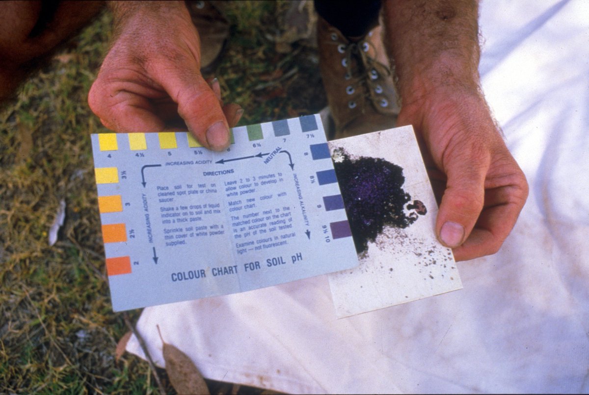 OSMakerLabs's tweet image. #CitzenScience: [12] Soil sample - how do you measure pH? #ProjectAtlas