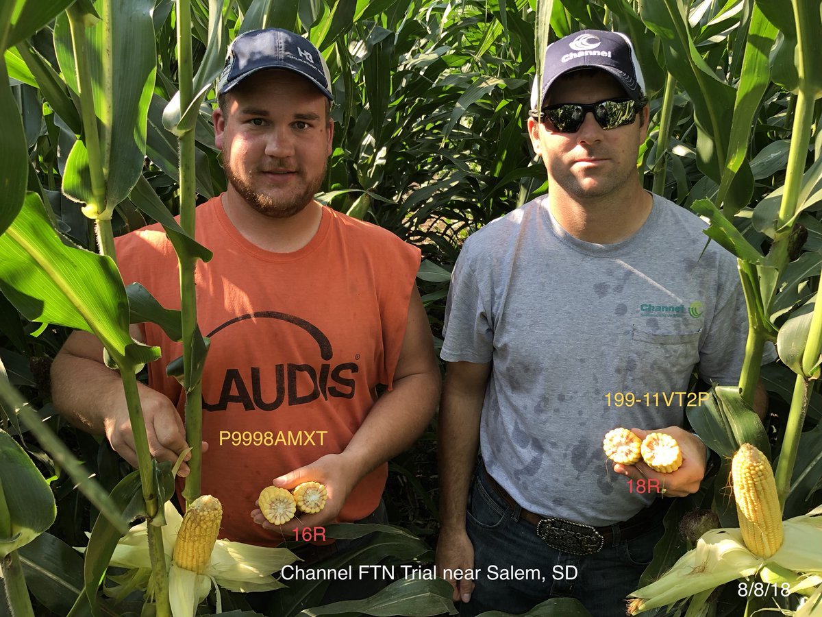 Channel_SD's tweet photo. FTN Spatial Trial near Salem, SD. Shown in pics below Channel Seedsman Doug Koch and Channel customer/plot cooperator Matt E. give us a virtual tour of the plot in a series of pictures. @ChannelSeed @ImSoyCornfused @priceginger #Grow18 #ChannelYields https://t.co/jPHKwbBpJ7