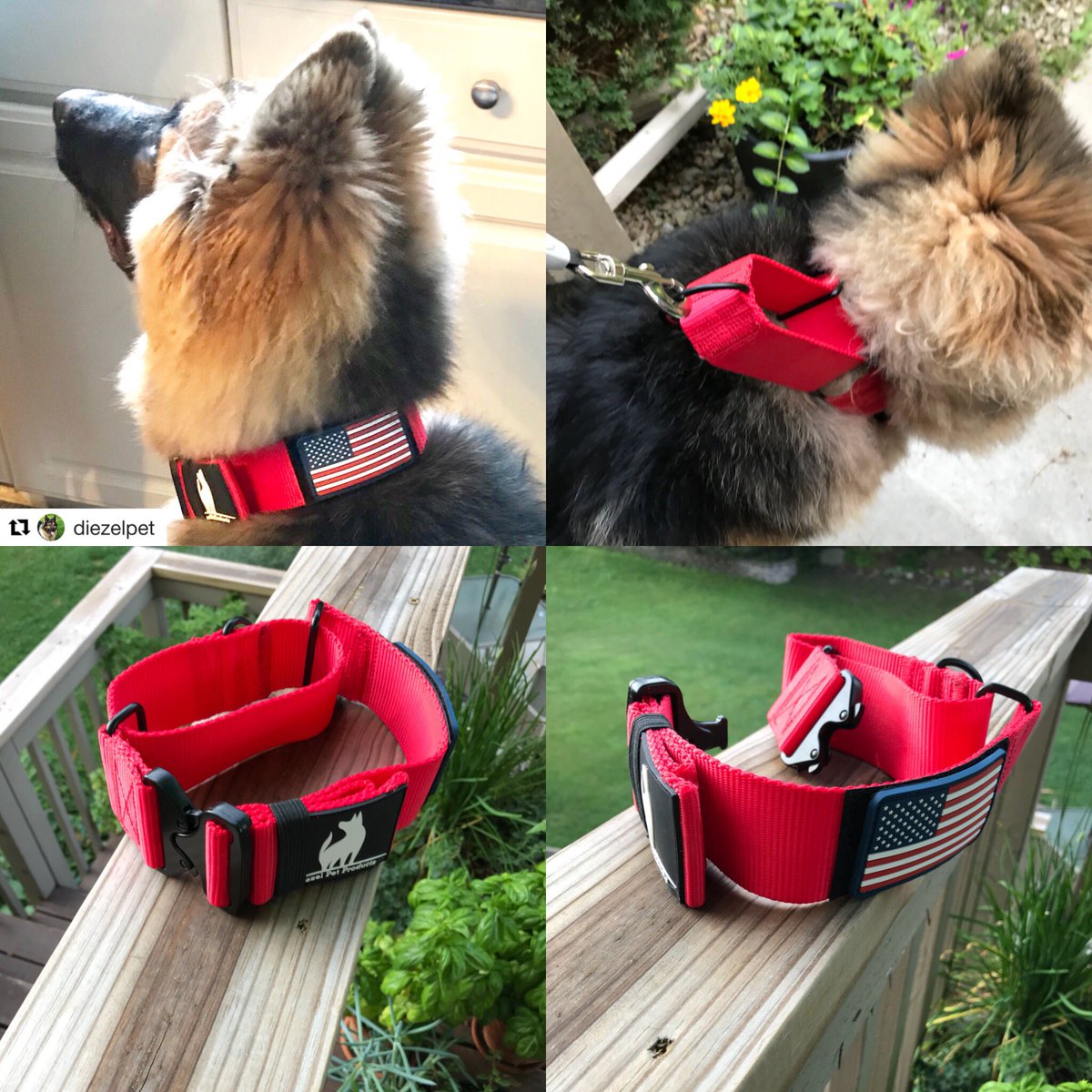 Pat_A_Swinton's tweet photo. GIANT XXL BREED MARTINDALE DOG COLLARS. AVAILABLE ON AMAZON 2” Wide HD Webbing Cobra Buckle USA Flag Patch. Fits Necks From 16” - 25” Prong Collar WITHOUT PRONGS https://t.co/5PD0Tuhpwt #newfoundland #newfie #stbernard #bernesemountaindog #cancorso #germanshepherd #🇺🇸 #🇺🇸af https://t.co/s3d3yBFdTC