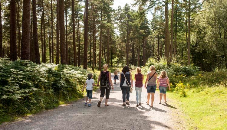 We’re now well into the swing of the summer holidays &amp; you might be feeling a little at a loss of what to do with the children, why not take a trip to Devon for some summer activities? See more ow.ly/EXf530lhtHj feat <a href="/GoApeTribe/">Go Ape</a> <a href="/Woodlands_Park/">Woodlands Theme Park</a> <a href="/NMAPlymouth/">National Marine Aquarium</a> <a href="/PaigntonZoo/">Paignton Zoo</a>
