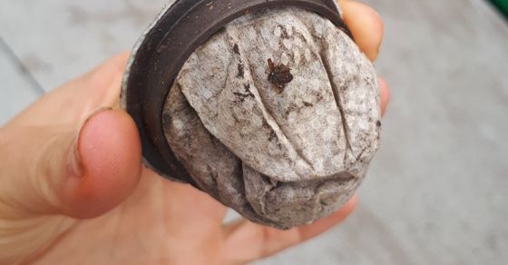 The spectrum of "compostable" food ware can be terribly confusing. No matter how you spin it, reuse wins every time! 

See here: buff.ly/2AxFQsH #compostable #bioplastics #towardszerowaste