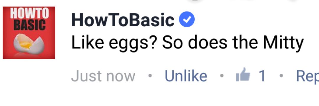 ActiveMit's tweet photo. The Mit™ is officially the only guild endorsed by HowToBasic. Get it in you ya cunt #bigandtru #eggs #champchonghere @HowToBasic  Please endorse us @ChampChong https://t.co/dx4hKCfO6W