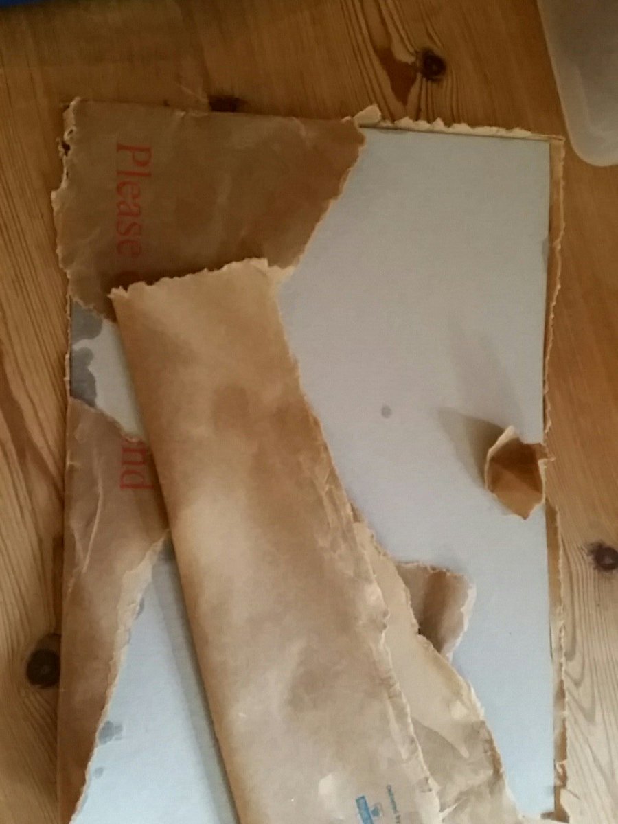 certificates were in this envelope. Just put through the door. So wet I had to rescue them.