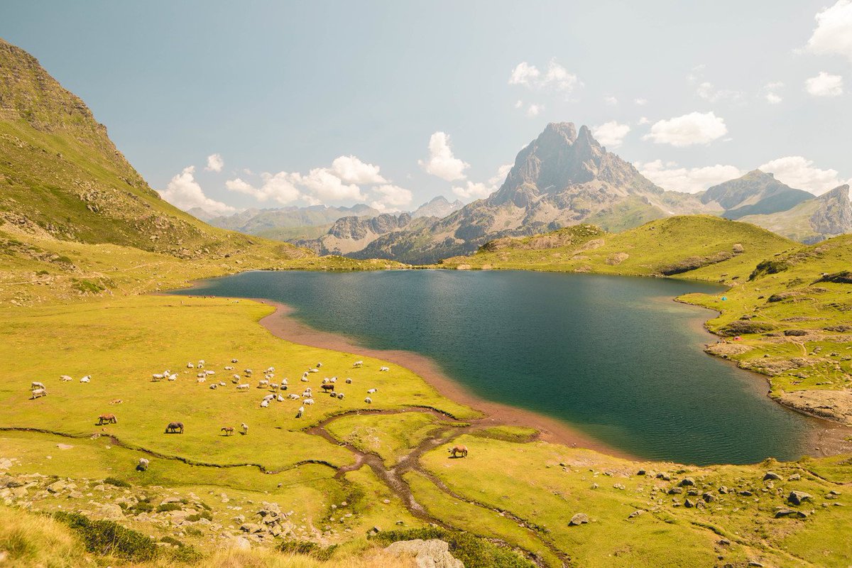 nevasport tweet media