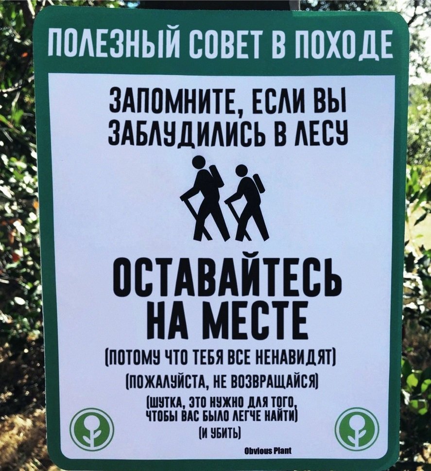 Если вы заблудились в лесу Если вы заблудились в лесу