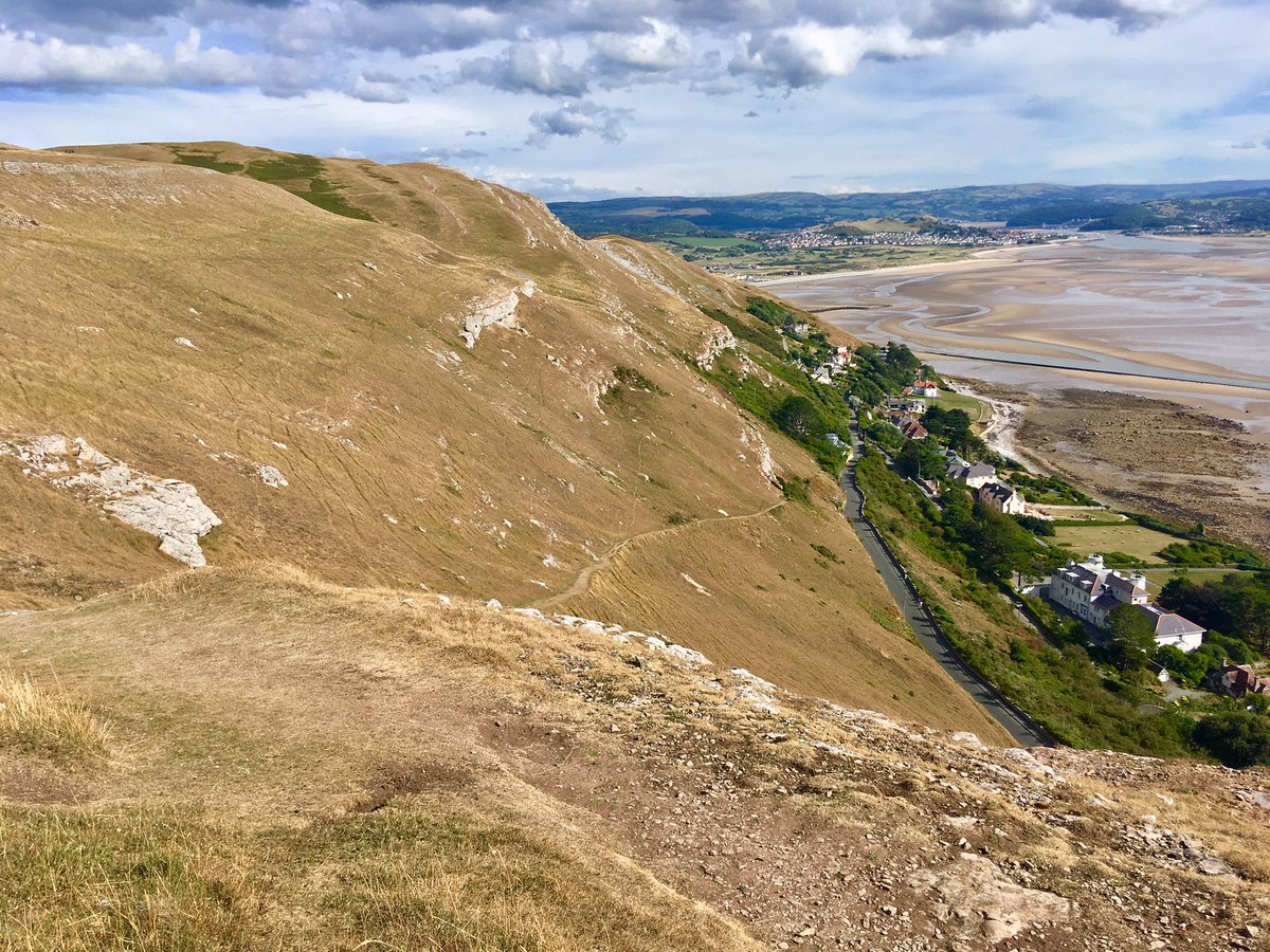 summitcomplex's tweet image. Did you know the Great Orme is the only known site, for the critically endangered wild Cotoneaster Cambricus? These rare shrubs date back to the last ice-age! With only 6 shrubs left across the area, the rain is certainly welcomed up here every now and then!#greatorme #NorthWales
