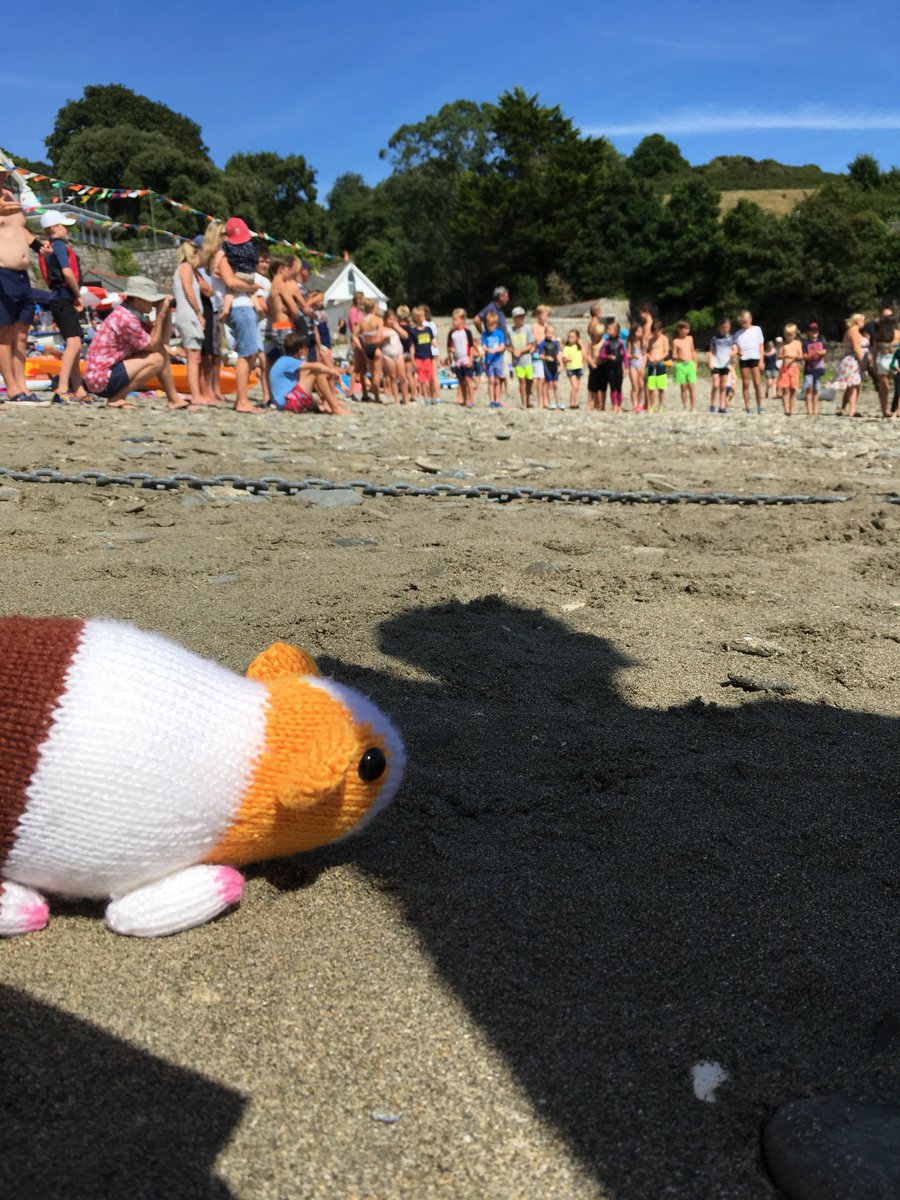 HolidayCornwal1's tweet photo. Gordon the Guinea Pig watching the egg and spoon race at #HelfordRegatta. #GordonsGreatAdventures #summerholidays https://t.co/x83fLdMGKz