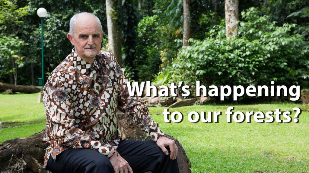 Softynews's tweet photo. What’s happening to our forests? https://t.co/kCJEVz3zB2 https://t.co/K7khsrGiAj
