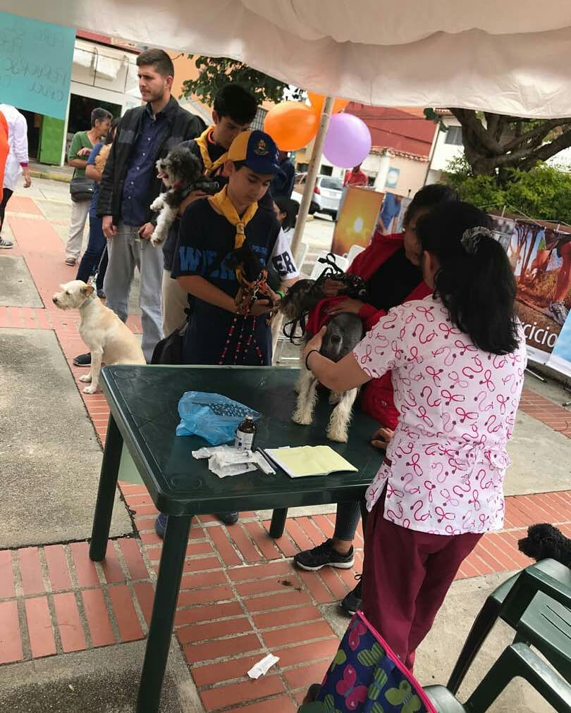 uvoccidental's tweet photo. #CercaDeTi2018 es amor por las personas, amor por los animales, esperanza para el mundo y paz para los corazones tristes con las oraciones que se elevan al Cielo. No olvides "Sonríe, Dios Cree En Ti" y Él desea brindarle bienestar a tu vida...#CercaDeTiVzla2018 https://t.co/SZ0UMIVQhd