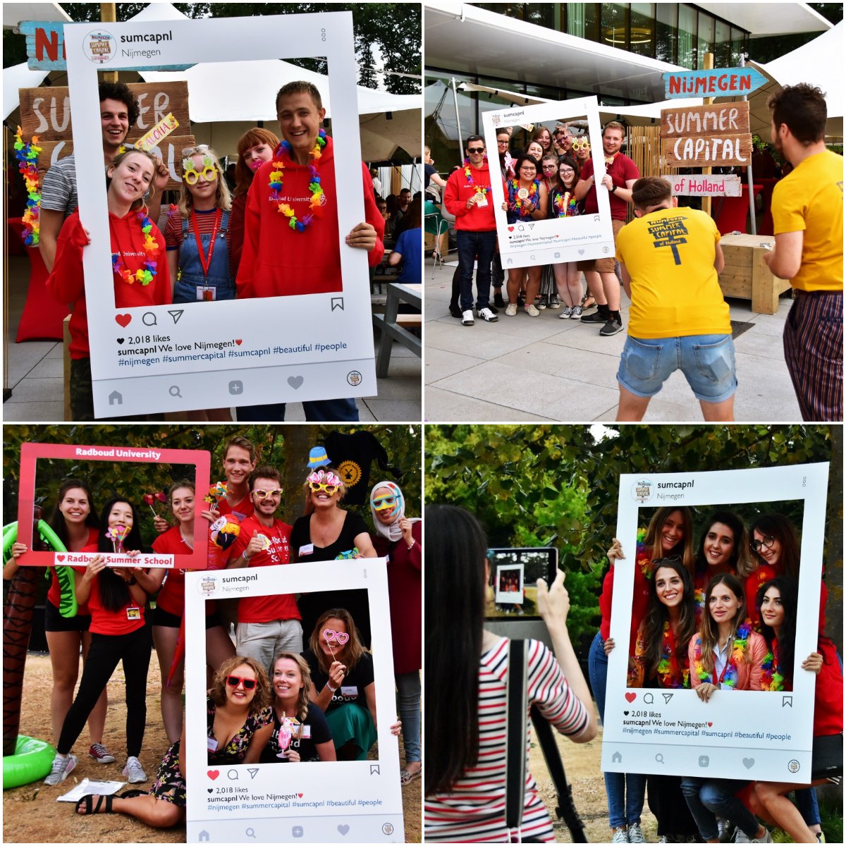 Summer Capital NL tweet media