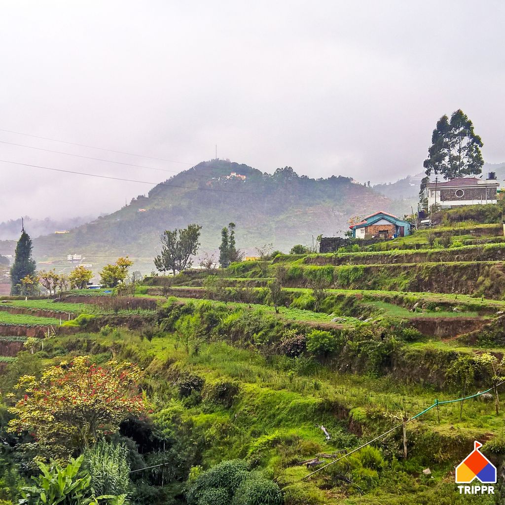 tripprworld's tweet image. Feel the magic in the air as you trek through luscious forests with other backpackers in Kodaikanal.
Book now at tripprworld.com

#trippr #travel #forest #mist #kodaikanal #trek #clouds #hills #backpacking #hostels #relax #chill