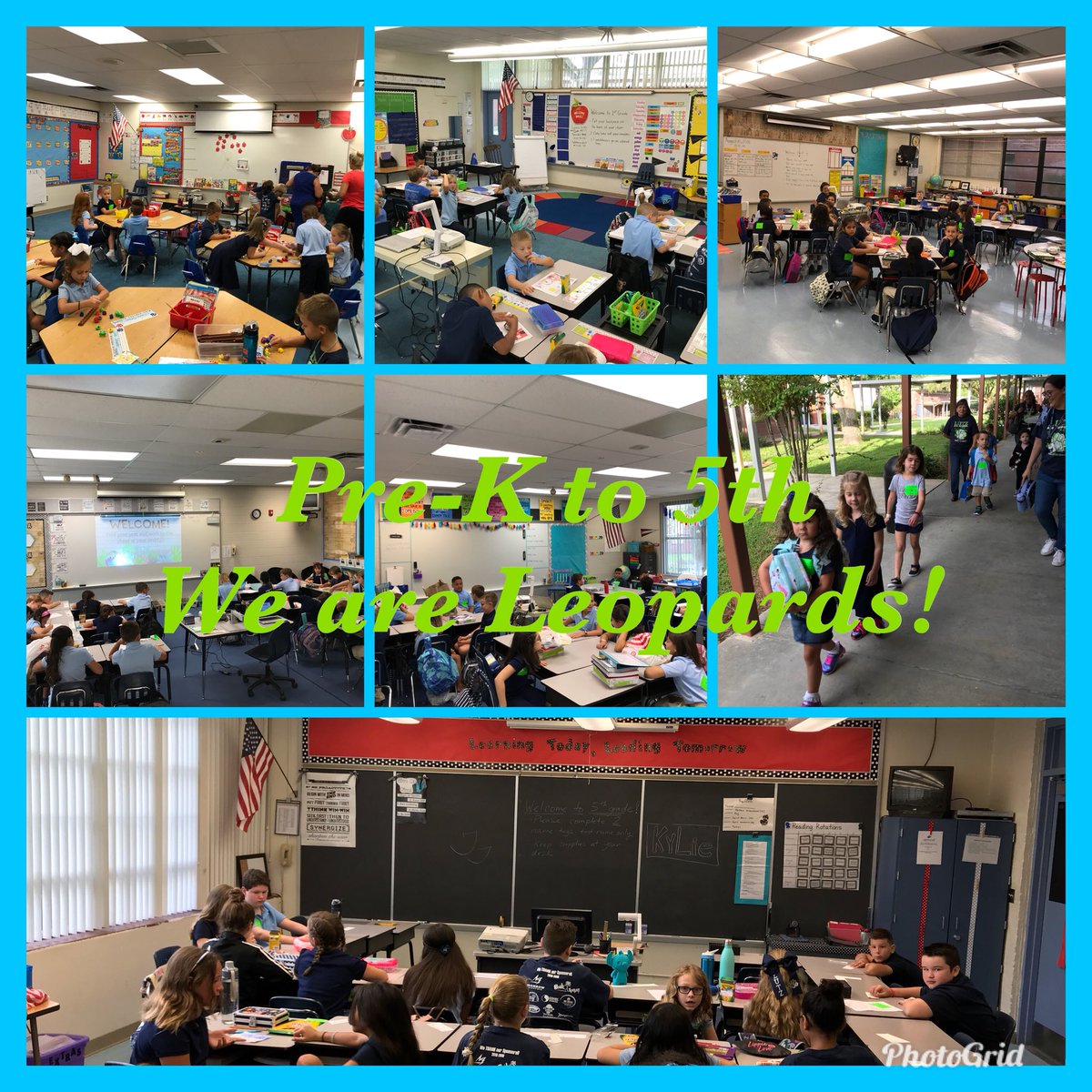 Lutz K-8 tweet media