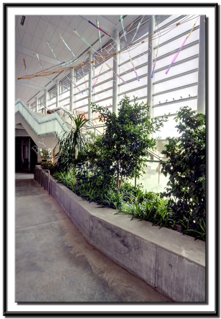 JDSmallStudios's tweet photo. The Plant Professionals Michigan State University Brody Hall.
#michigan #517 #michiganstateuniversity #brodyhall #theplantprofessionals #michiganphotographer#interiordesign #architecturephotography#architecturalphotographer #lansing#puremichigan #jdsmall #jdsmallstudios https://t.co/z09fsr7LC7