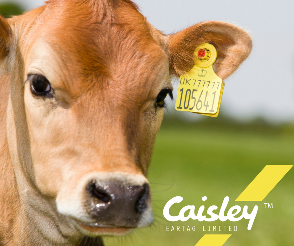 CaisleyTags's tweet photo. Caisley tags are laser printed with a bespoke, easy-to-read font. https://t.co/hJdl727JZC
#CaisleyTags #LivestockTags #OnlyTagOnce #Flexoplus https://t.co/CycZE1Yq63