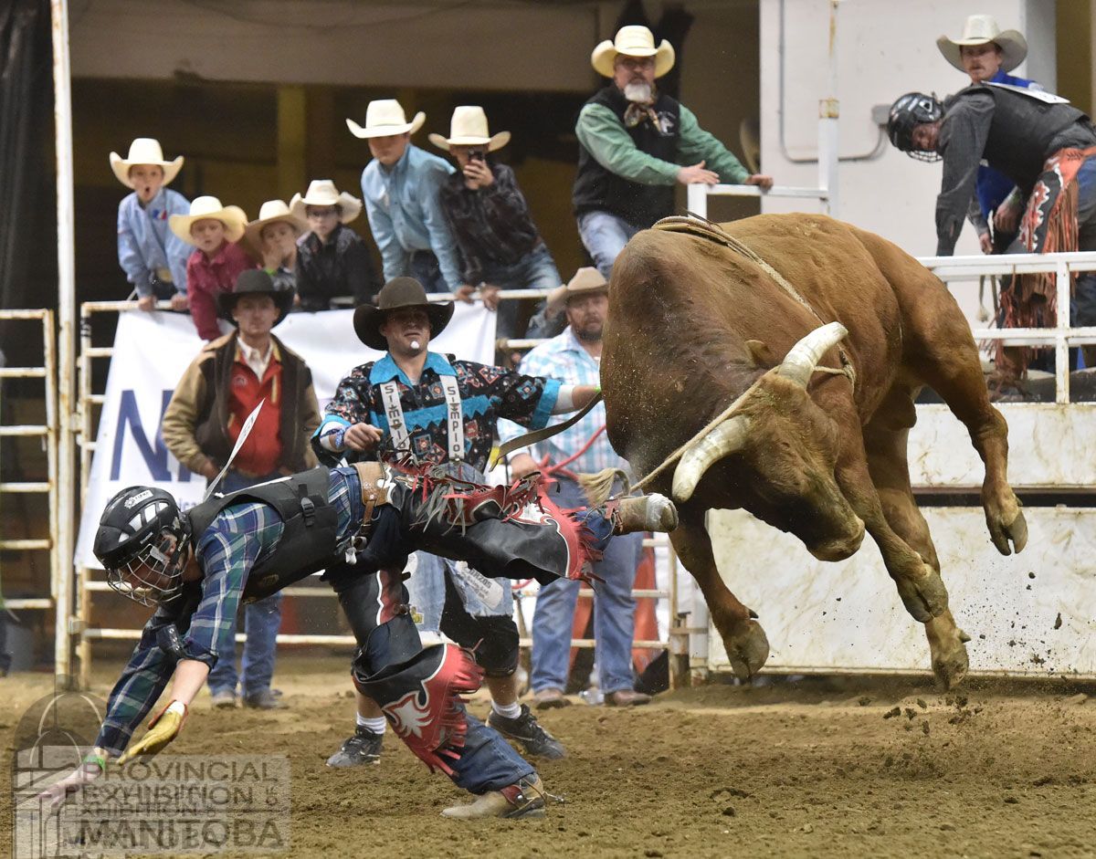 ProvincialEx's tweet photo. The best of the prairies come together to compete at the @manitobarodeocowboys finals Oct. 25 - 27 as part of Manitoba AG EX in Brandon at the @keystone_centre. #Rodeo #Athletes #Aglife #roughstock #Bullriding #Notforweak https://t.co/lUIM6ghSQe