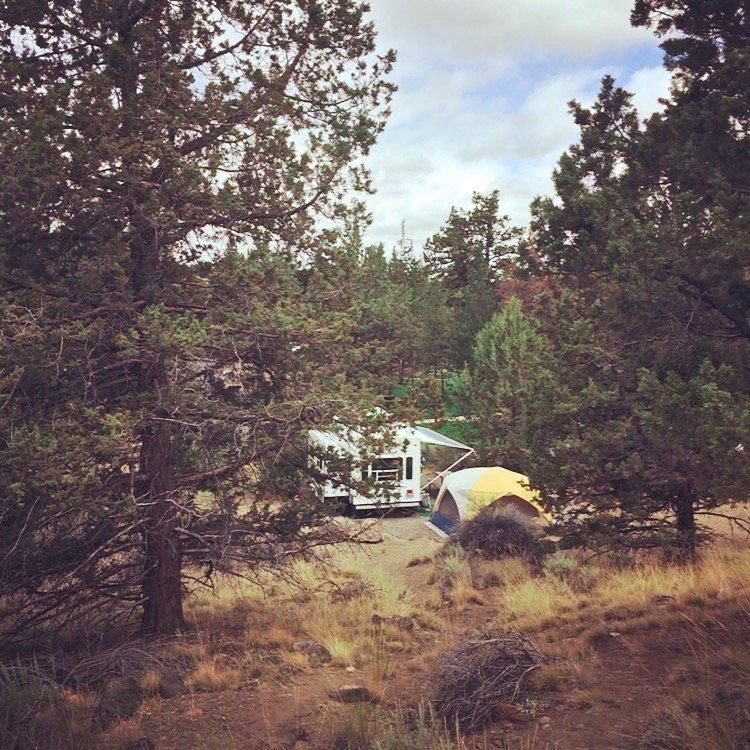 365Portland tweet media