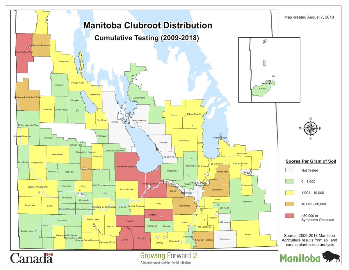 KelvinHeppner's tweet photo. MB clubroot map has been updated. 8 new cases reported this summer (so far). https://t.co/ncC0zixzdw https://t.co/v26IQebuQd