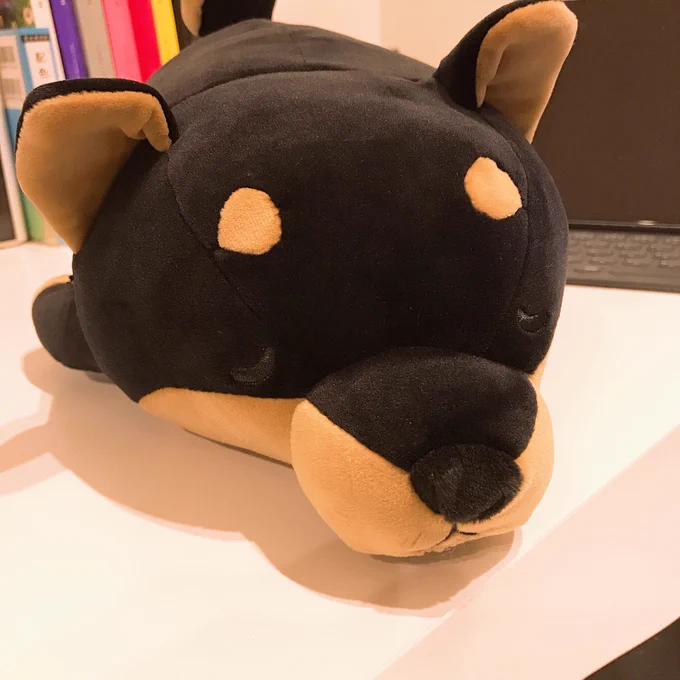 友達が誕生日プレゼントに犬くれた?「犬飼いたいって言ってたから」って 散歩は行ってくれなさそうだね 