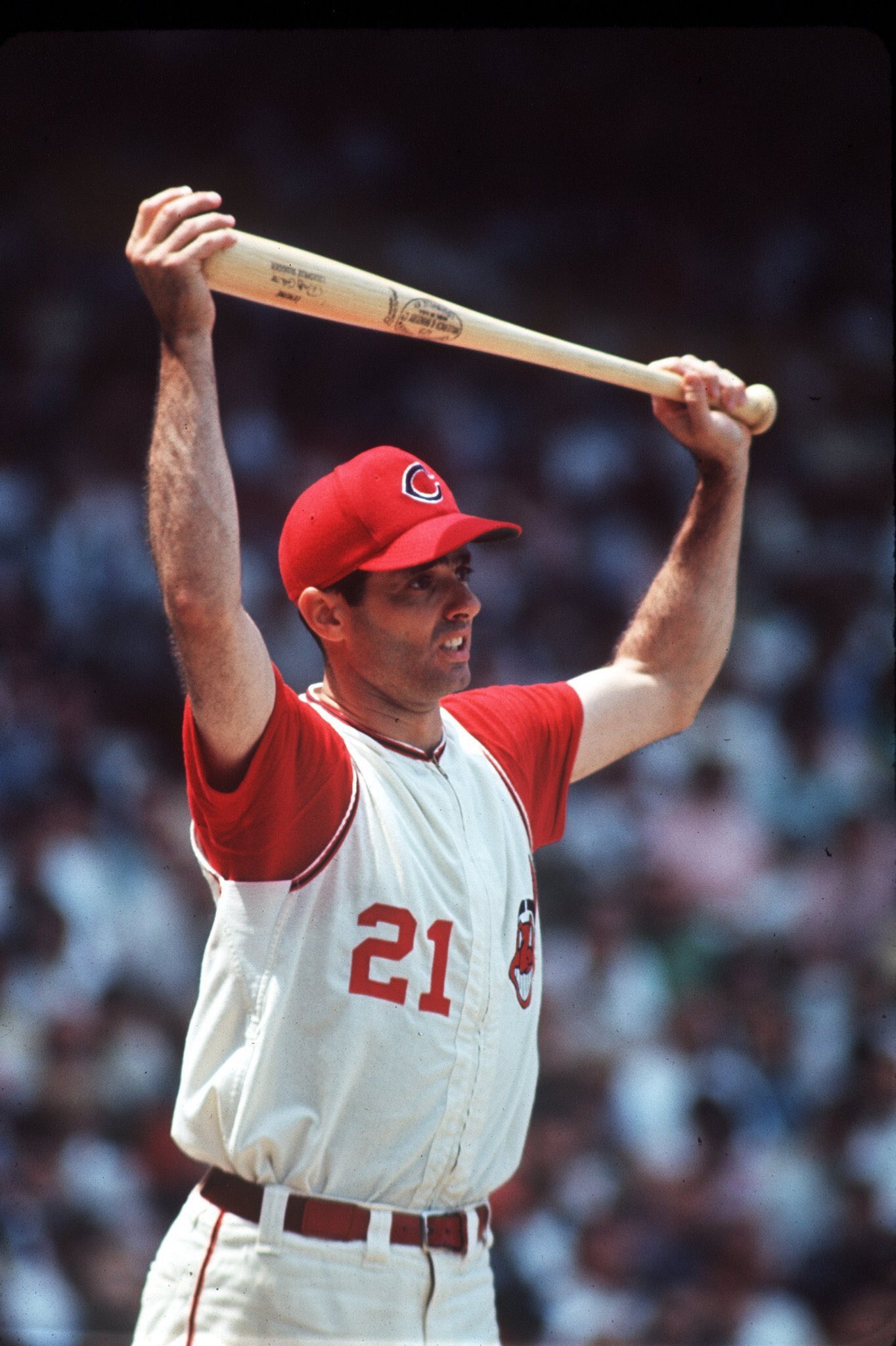 Happy 85th Birthday to ROCKY COLAVITO!  