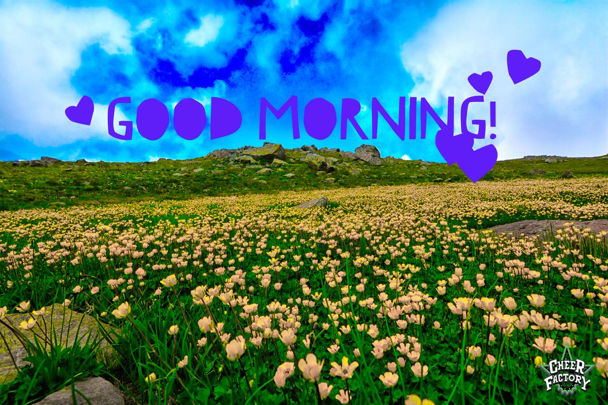 Cheer Factory tweet media