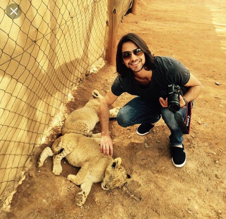 Celebrating #WorldLionDay with <a href="/lucapasqualino/">Luke Pasqualino</a>