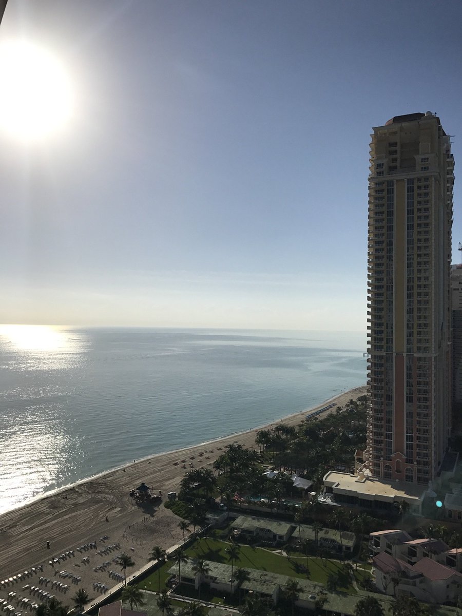 HollywoodBeach5's tweet photo. Trump tower in Sunny Isles with coconuts growing on the beach! Romance everywhere #florida #Trump #TrumpTower #tower #SKYSCRAPPER #coconuts #PALMTREES #romance #sunset #sun #ocean #florida #sunny #loveit #visw #Views #Atlantico #Gorgeous #magical #Vacations #mustsee #Enjoy #Nice https://t.co/BbsKwPgXJl