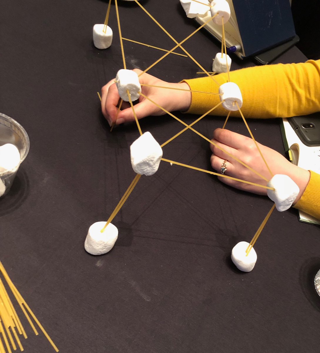 truemaree's tweet photo. Building Bridges, Making Connections #APRAtalks2018 #APRA2018 #ApraPD2018 https://t.co/f5un1VRFTj