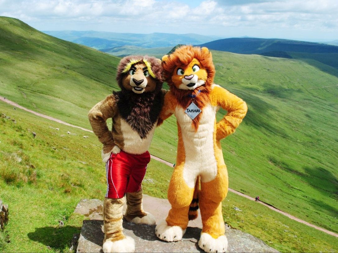 nbowa's tweet photo. Good morning! Happy #FursuitFriday and #WorldLionDay 

We deserve to be saved and loved!!  😍🦁

📸 @ZaneCheetahpawz https://t.co/lnuJ48vXf9