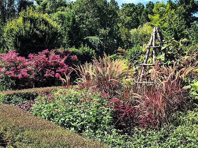 botanicalgarden's tweet photo. A subdued view of the formal garden at Moore Farms Botanical Garden with a rustic log obelisk in the middle of a parterre bounded by an Ilex vomitoria hedge.
.
.
.
#formalgarden #obelisk #gardenstructure #rusticgardenstructure #logstructure #parterre #ilexhedge #hedge #garde… https://t.co/cc9mY6mbdp