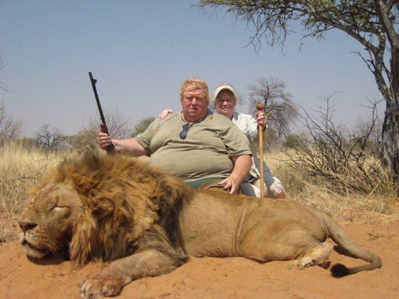JuliaHB1's tweet photo. Today is #WorldLionDay. It’s time for a global ban on trophy hunting of these magnificent animals. 

Question: Do you reckon this guy shot this lion himself or did he just sit on it? https://t.co/xsnvEhQAlG