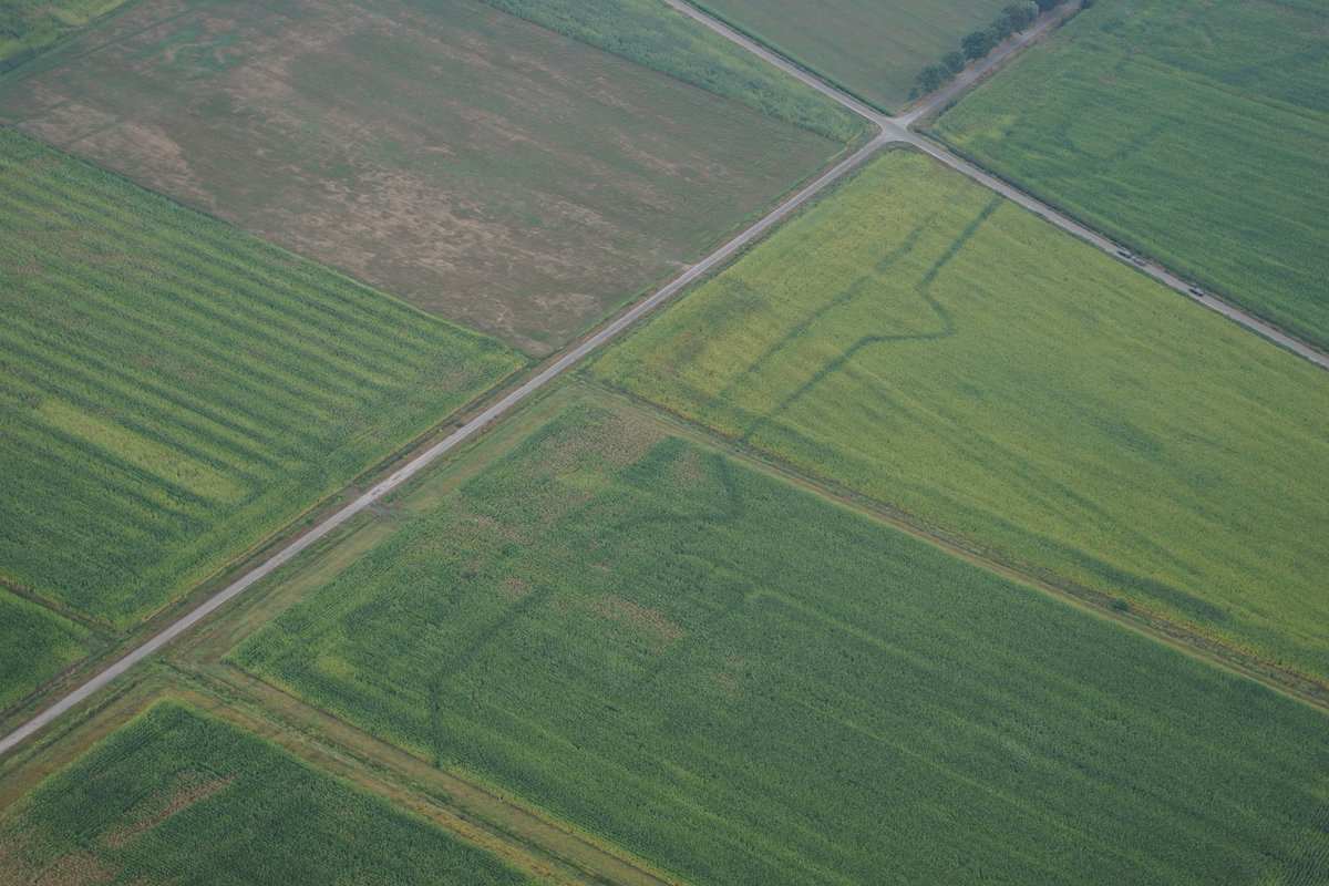 aaenmaas's tweet photo. Droogte zorgt voor bijzondere taferelen: sporen uit het verleden worden zichtbaar! In het Vughts Gement nabij @shertogenbosch zijn vanuit de lucht duidelijk sporen te zien van de linies die Frederik Hendrik in 1629 heeft aangelegd #bijzonderebeelden https://t.co/41gjZ9wL9i