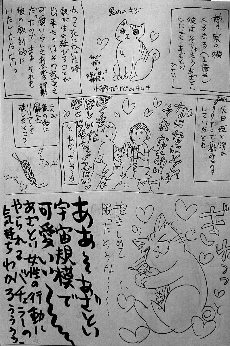 作業中、友達に勧められたバチェラーJAPANを見てバチェラーこれにやられるの!?って思いながらも普段可愛さをわかってる猫達の思いのまま操られてる自分を思うとなんか納得したという殴り書き漫画。 