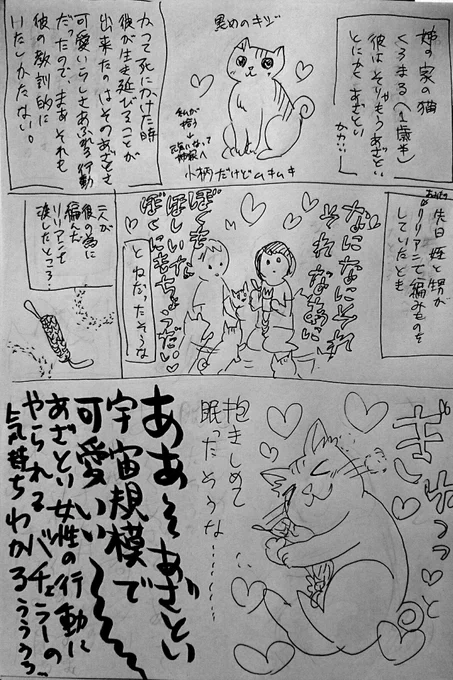 作業中、友達に勧められたバチェラーJAPANを見てバチェラーこれにやられるの!?って思いながらも普段可愛さをわかってる猫達の思いのまま操られてる自分を思うとなんか納得したという殴り書き漫画。 